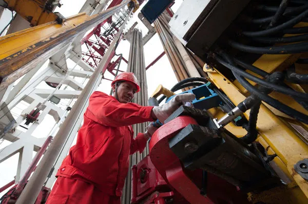 Bộ tập trung vỏ cao su API 5CT cho khoan dầu 2-7/8" đến 7" 6