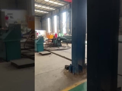 API 11AX Sucker Rod Insert Pump Plunger Heavy Walled Barrel Pumps Phần