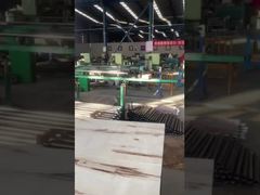 Nickel Carbide Fuel Pump Plunger And Barrel Tiêu chuẩn API 11B