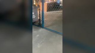 pít tông phụ tùng của máy bơm thanh hút